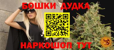 стаф Тара