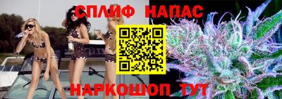 мдпв Татарск