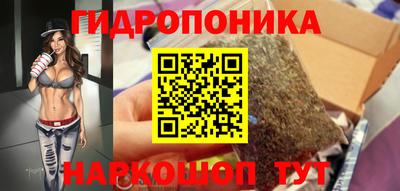 мдпв Татарск