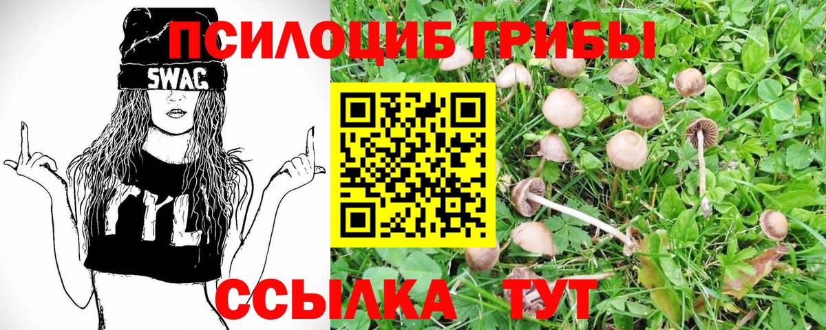 Галлюциногенные грибы прущие грибы Орск